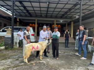 Polresta Banyuwangi Berikan Hewan Kurban Kambing ke Warga Pakel