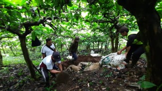 Polresta Banyuwangi Periksa Sejumlah Saksi Terkait Penemuan Kambing Misterius Yang