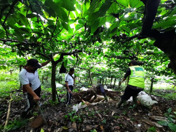 Polresta Banyuwangi Selidiki Pembuangan 9 Ekor Kambing Jenis Etawa Yang