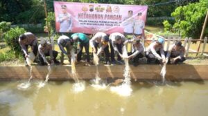 Dukung Program Ketahanan Pangan, Polres Batang Tebar Benih Ikan Lele di Desa Kebumen