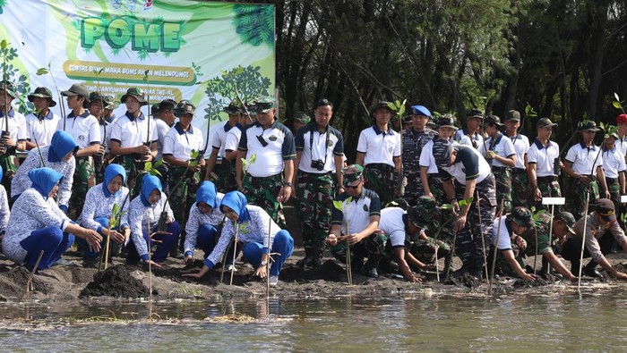 Ratusan Mangrove Ditanam Dorong Pelestarian Pesisir Banyuwangi