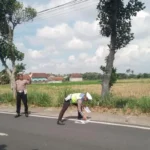 Satu Orang Tewas Dalam Kecelakaan Maut Motor Tabrak Truk Di