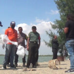 Viral Potongan Kaki Manusia Ditemukan Di Tepi Pantai Marina Semarang