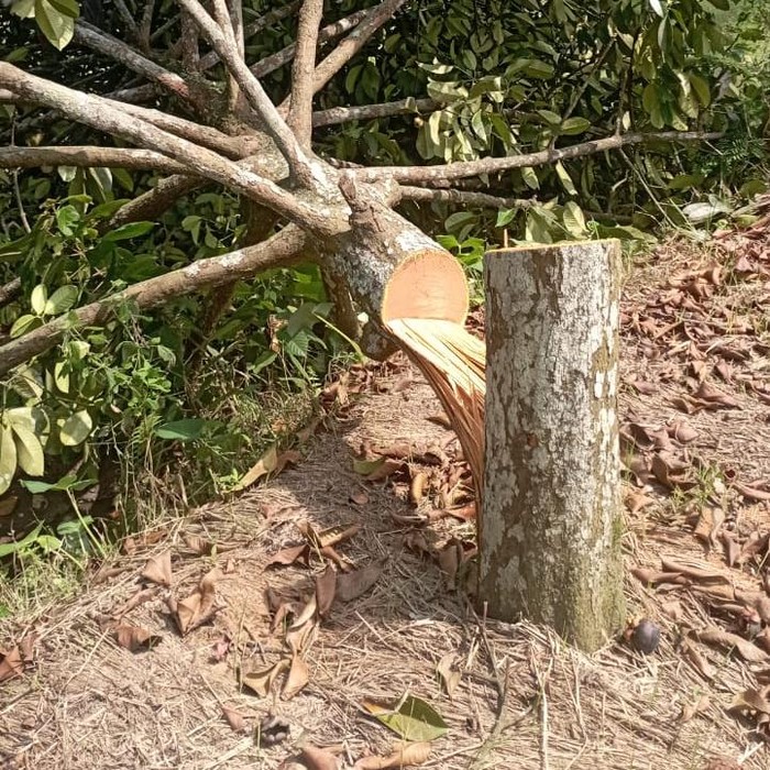 Warga Pakel Banyuwangi Bisa Kembali Hidup Damai Usai Terima Tali