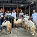 Warga Pakel Banyuwangi Terima Tiga Ekor Kambing Kurban