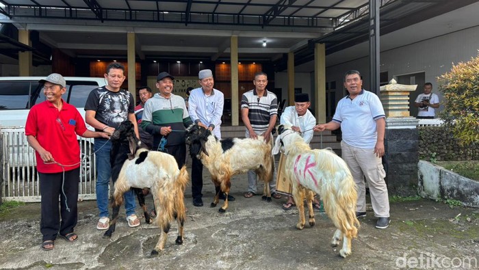 Warga Pakel Banyuwangi Terima Tiga Ekor Kambing Kurban