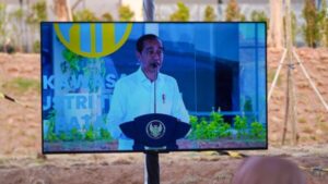 Jokowi Resmikan Pembukaan Kawasan Industri Terpadu Batang