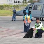 Angkasa Pura Ii Prioritaskan Perbaikan Runway Dan Apron Bandara Banyuwangi