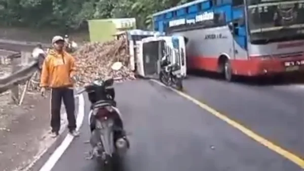 Jalur Banyuwangi Jember Macet Karena Truk Terguling Di Gumitir