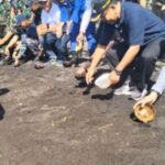 Kasat Polairud Polresta Banyuwangi Ikuti Penanaman Mangrove Dan Pelepasan 500