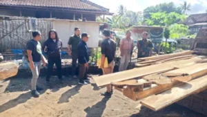 Kerja Sama Perhutani dan Polisi Berhasil Amankan Kayu Jati Ilegal di Sumberasri