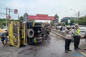 Sopir Ngantuk, Truk Muatan Kayu Terguling di Ungaran Semarang