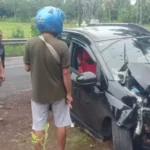 Mendadak Oleng, Honda Mobilio Tabrak Pohon Di Alasmalang Banyuwangi: Mobil