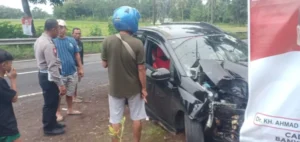 Kecelakaan di Alasmalang Banyuwangi: Honda Mobilio Hantam Pohon, Mobil Rusak Parah tapi Tak Ada Korban Jiwa