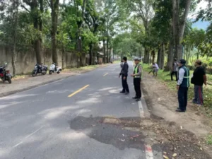 Kecelakaan Beruntun di Jalan Raya Jember-Banyuwangi, Seorang Pelajar Tewas