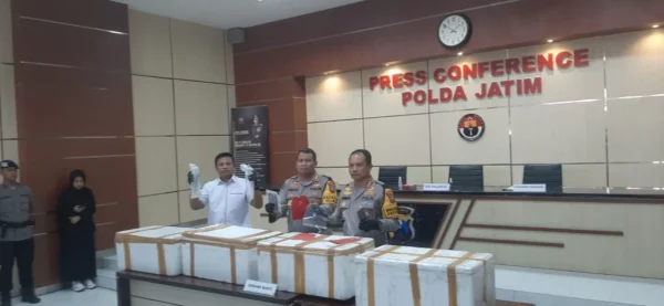 Pengiriman Benih Bening Lobster Digagalkan, Dua Warga Banyuwangi Dibekuk, Sudah