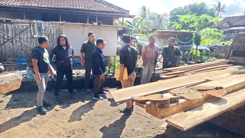 Petugas Gabungan Bongkar Pengolahan Kayu Jati Ilegal Di Banyuwangi