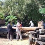 Petugas gabungan gerebek pengolahan kayu jati ilegal