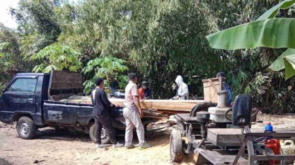 Petugas Gabungan Gerebek Pengolahan Kayu Jati Ilegal