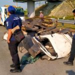 Pikap Angkut Kambing Ringsek Usai Kecelakaan Di Tol Sragen