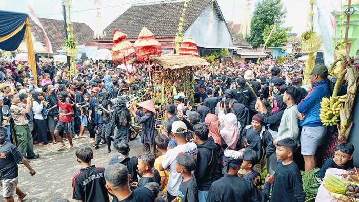 Serunya Tradisi Kebo-Keboan Alasmalang di Banyuwangi