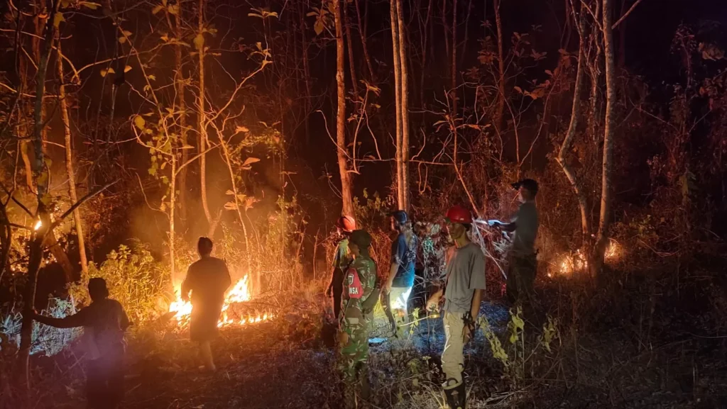 Hutan Jati Perhutani di Banyumas Terbakar, Luasan 4,4 Hektar Terkena Dampak