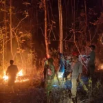 4,4 Hektar Hutan Jati Perhutani Di Banyumas Terbakar