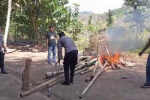 Tindak Tegas, Polisi Bakar Arena Judi Sabung Ayam di Pesanggaran Banyuwangi