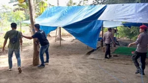 Aparat Kepolisian Obok-obok Arena Judi Sabung Ayam di Sumberagung Banyuwangi