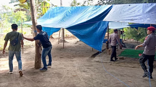 Aksi Kepolisian: Arena Sabung Ayam Di Sumberagung Banyuwangi Dihancurkan