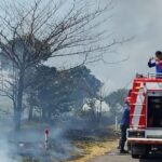 Ancaman Kemarau: Kebakaran Lahan Di Pinggir Tol Pejagan Pemalang Bisa Terjadi