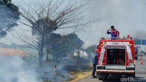 Kemarau Datang, Kebakaran Lahan di Pinggir Tol Pejagan-Pemalang Mengintai