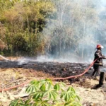 Api Membara Pada Limbah Tripleks Di Polokarto Sukoharjo, Damkar Terkendala