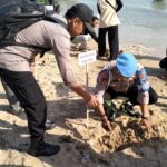 Bersatu Dengan Alam, Penanaman Pohon Mangrove Bersama Polsek Kaliori Dan