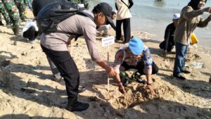 Bersatu dengan Alam, Penanaman Pohon Mangrove Bersama Polsek Kaliori dan Dandim 0720 Rembang