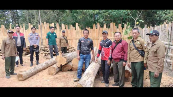 Dugaan Keterlibatan Pedagang Kayu Besar Dalam Penemuan 21 Batang Kayu