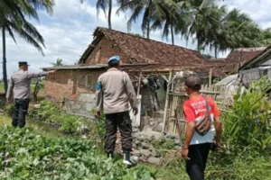 Angin Puting Beliung Terjang Desa Temuguruh Banyuwangi: Belasan Rumah Rusak, Polisi Berikan Laporan