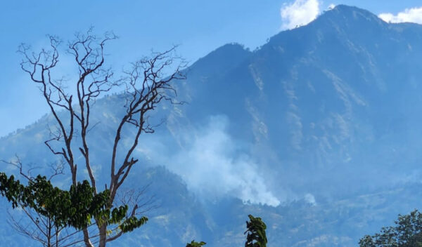 Kebakaran Hutan Di Gunung Merapi Ungup Ungup Banyuwangi Mulai Terkendali