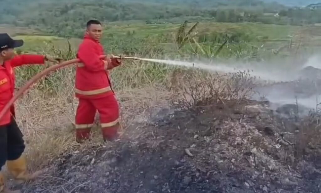 Kebakaran Lahan Berulang di Banyumas: Beberapa Titik Terbakar dalam Sehari