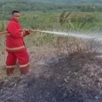 Kebakaran Lahan Berulang Di Banyumas: Beberapa Titik Terbakar Dalam Sehari