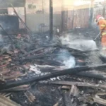 Kebakaran Di Banyuwangi Tewaskan Enam Kambing Dalam Kandang Terbakar