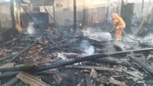 Dapur dan Kandang di Banyuwangi Terbakar, Enam Kambing Tewas