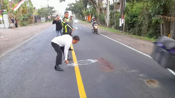 Kecelakaan Maut Di Jalan Bergelombang Kaligondo Banyuwangi Pengendara Suzuki Shogun