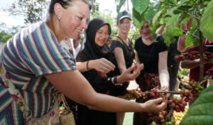 Angkat Identitas Kopi Banyuwangi Melalui Festival Kopi Rakyat