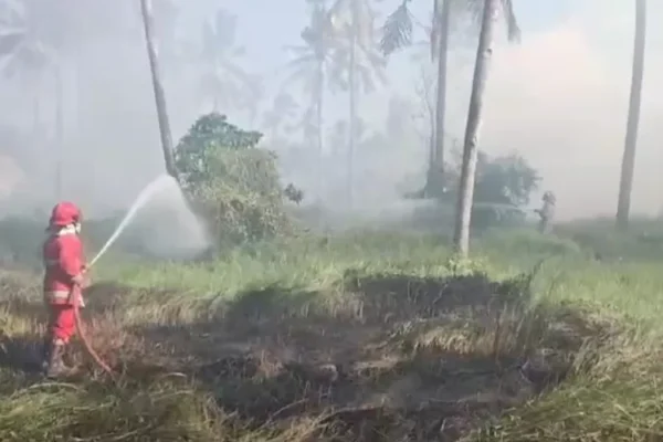 Lahan Kosong Milik Kelurahan Di Banyuwangi Kota Terbakar, Ini Penyebabnya