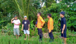 Pencarian Lansia Hilang di Banyuwangi, Diduga Terbawa Arus