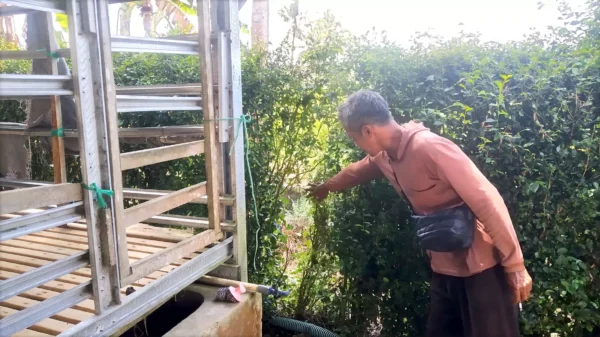 Maling Embat 6 Kambing Di Temuguruh: Korban Rugikan Rp 9,5