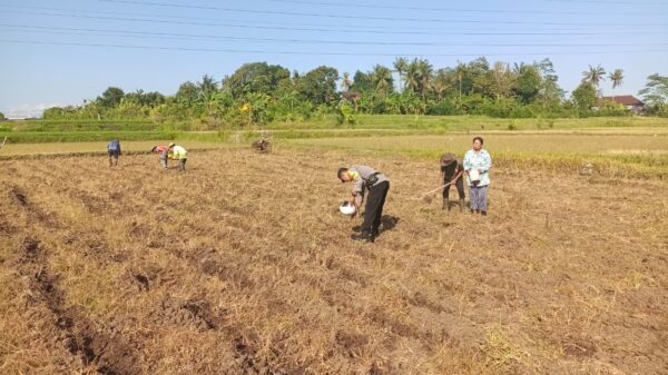 Peran Bhabinkamtibmas dalam Mewujudkan Ketahanan Pangan di Desa Dangin Tukadaya