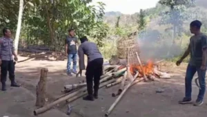 Arena Sabung Ayam di Banyuwangi Dibubarkan oleh Polsek Pesanggaran