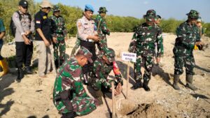 Penanaman Pohon Mangrove Oleh Prajurit Kodim 0720 Rembang Bersama Polri Dan Masyarakat